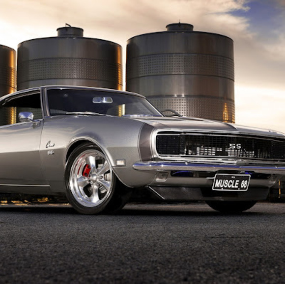 Meet your Posher, Wade - Picture 1 of 1